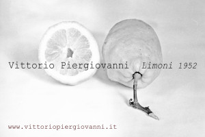 Limoni_depliant